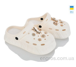 Кроксы Golden Lion